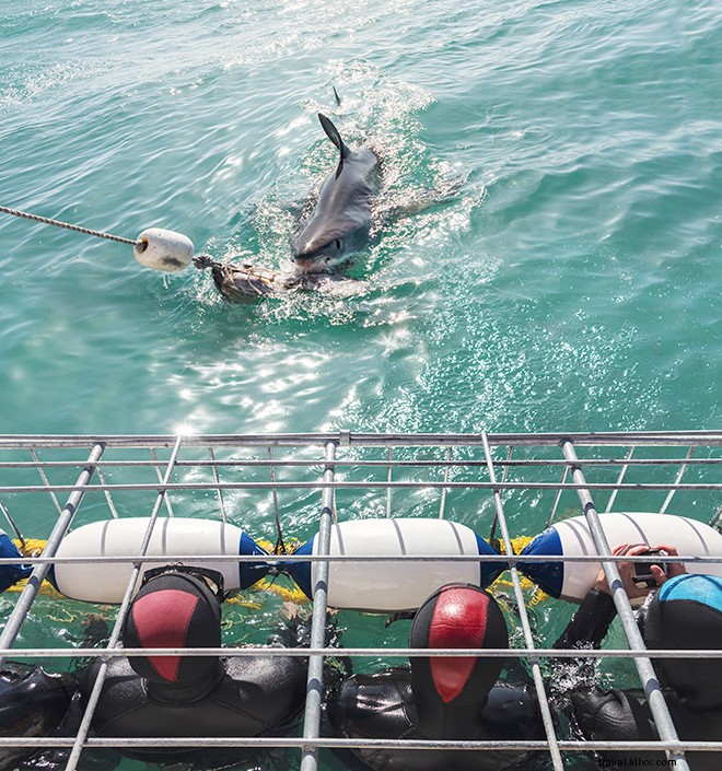 20 Surreal Bucket List Travel Experiences That Will Blow Your Mind