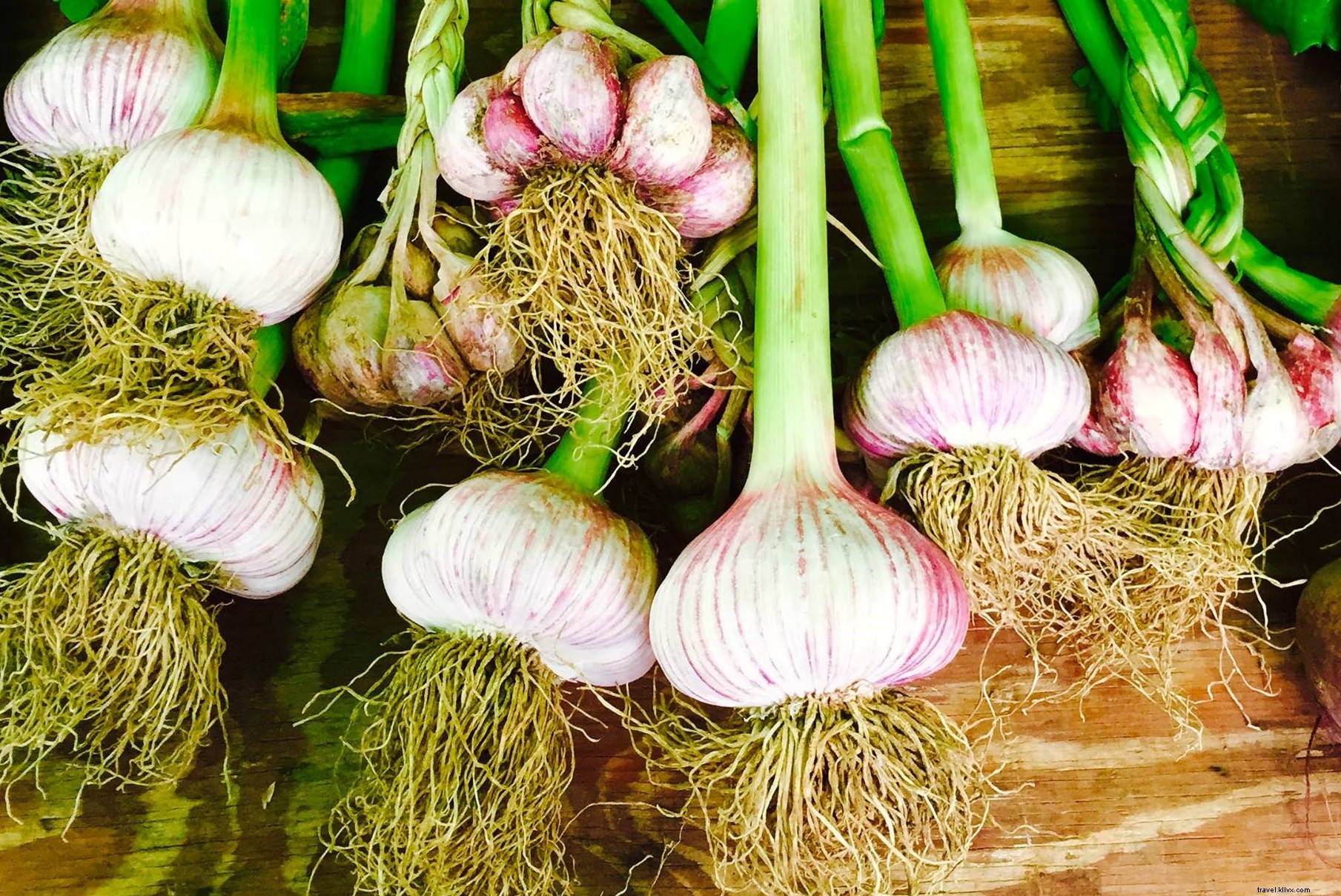 10 Iconic Food Festivals Around the World to Ignite Your Wanderlust