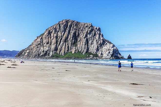 Epic California Road Trip: Family of 5 and Dog Explore San Francisco (Part 4)