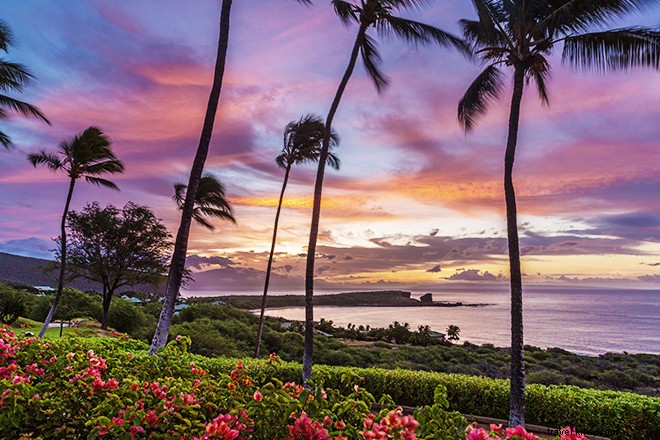 Which Hawaiian Island Fits Your Vacation Style? Guide to Oahu, Maui, Kauai & More