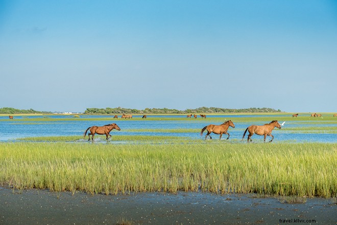 Why North Carolina is the Ultimate End-of-Summer Getaway Destination