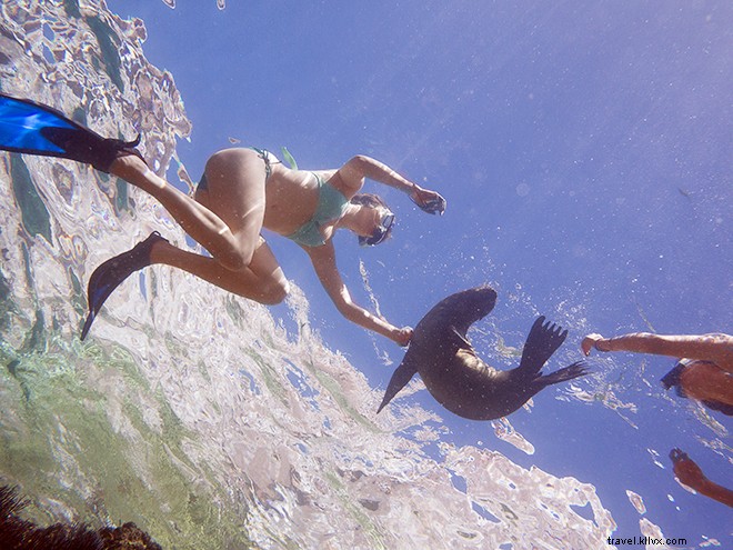 Discover South America by Luxury Cruise: Why Silversea Delivers Unparalleled Adventures