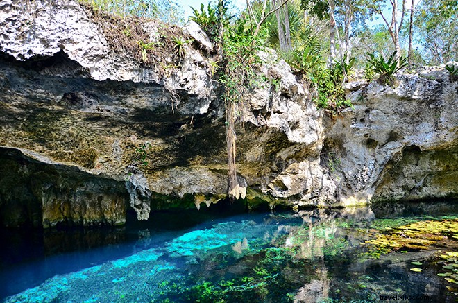 Tulum Beyond the Beaches: Cenotes, Mayan Ruins, Wildlife, and Taco Heaven