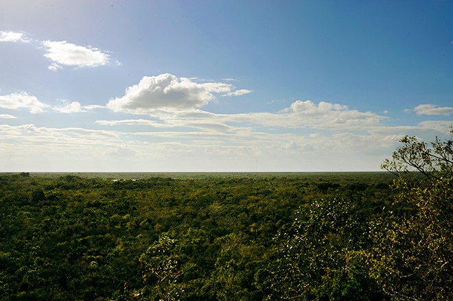 Tulum Beyond the Beaches: Cenotes, Mayan Ruins, Wildlife, and Taco Heaven