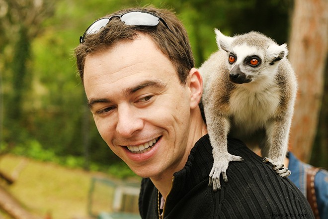 Tulum Beyond the Beaches: Cenotes, Mayan Ruins, Wildlife, and Taco Heaven