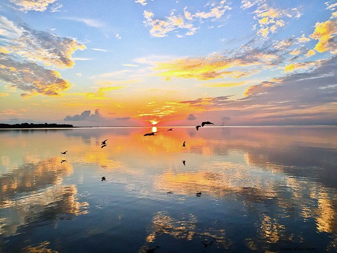 Florida s Space Coast: Rocket Launches, Stunning Beaches, and Cosmic Adventures