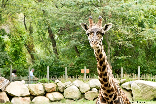 9 Types of Travelers You ll Meet in Providence, Rhode Island