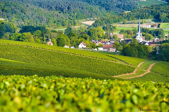 Discover Champagne-Ardenne: Premier Champagne Houses, Gothic Marvels, and Medieval Treasures