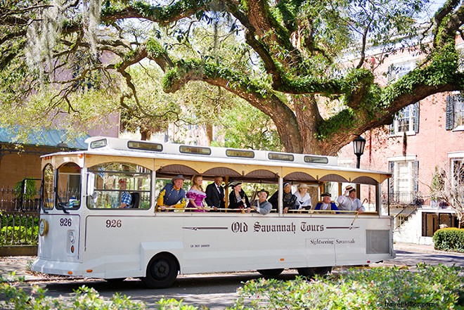 Discover Savannah: Southern Charm & History All Year Round