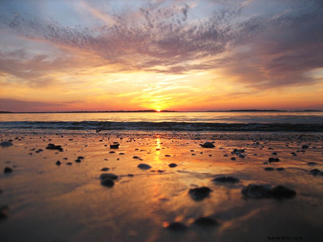 Discover Savannah: Southern Charm & History All Year Round