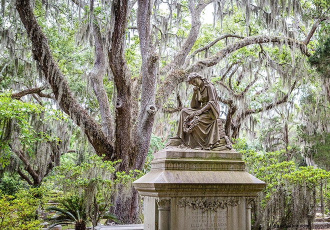 Discover Savannah: Southern Charm & History All Year Round