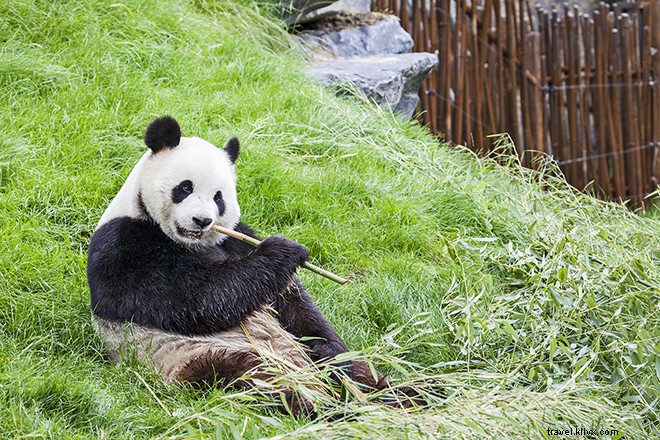 Discover Washington, D.C.: A Practical 4-Day Long Weekend Planner