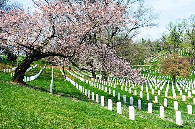 Discover Washington, D.C.: A Practical 4-Day Long Weekend Planner