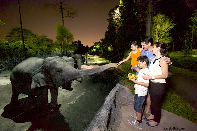 8 Compelling Reasons to Start Your Asia Adventure in Singapore