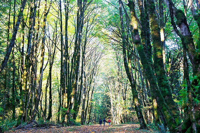 Portland, Oregon: 12 Reasons It s the Ultimate Cool Summer Destination