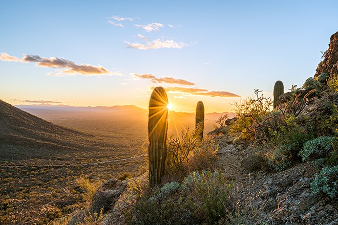 10 Reasons to Unleash Your Inner Cowboy at The Ritz-Carlton Dove Mountain