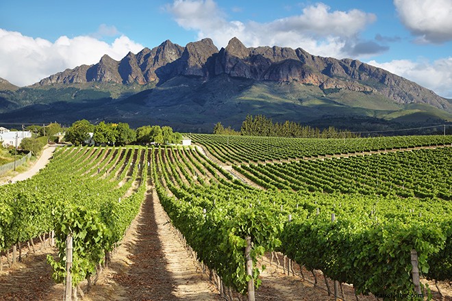 13 Unmissable Experiences in South Africa: Safari, Cape Town & Beyond