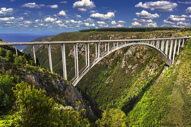 13 Unmissable Experiences in South Africa: Safari, Cape Town & Beyond