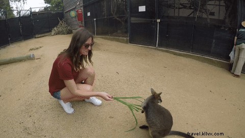 Explore Australia s Highlights in One Week: The Ultimate New South Wales Itinerary