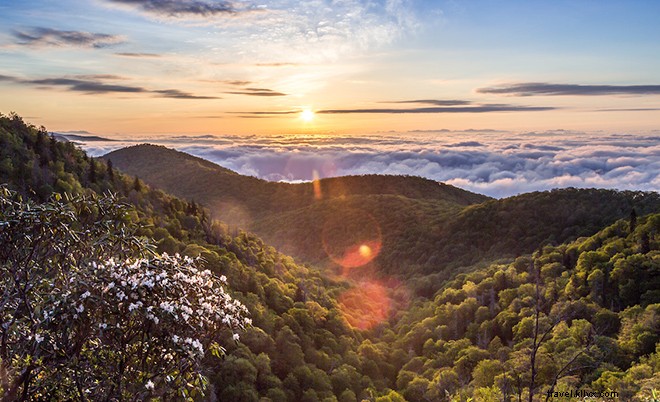 11 Unique Experiences You Can Only Have in Asheville, NC