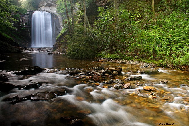 11 Unique Experiences You Can Only Have in Asheville, NC