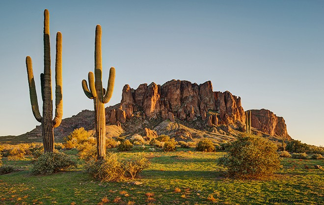 Beyond the Cactus League: 14 Must-Do Experiences in Arizona for Baseball Fans