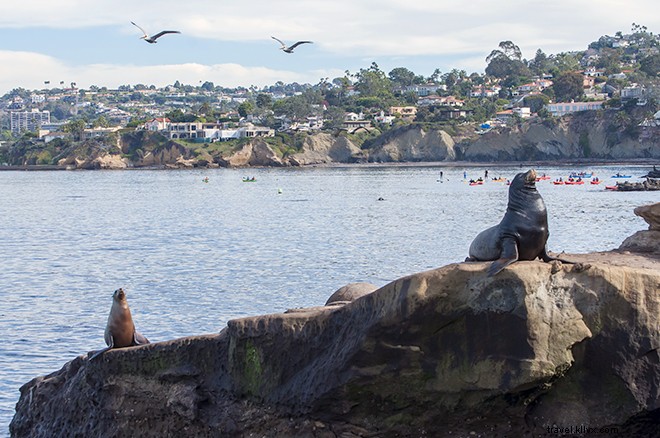 San Diego Beyond the Beaches: Craft Beer Trails, Balboa Park, and 12 Must-See Attractions