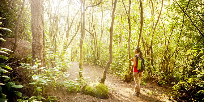 Top 10 Things to Do in Daytona Beach: Iconic Beaches, NASCAR Thrills, Manatees & More