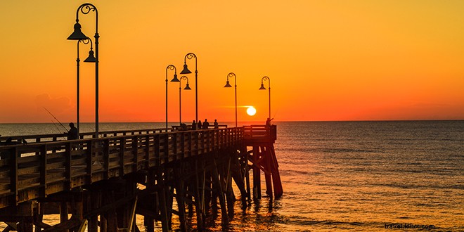 Top 10 Things to Do in Daytona Beach: Iconic Beaches, NASCAR Thrills, Manatees & More