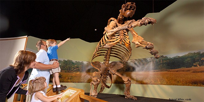 Top 10 Things to Do in Daytona Beach: Iconic Beaches, NASCAR Thrills, Manatees & More