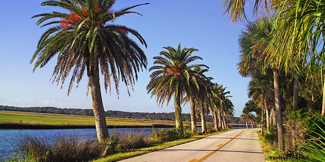 Top 10 Things to Do in Daytona Beach: Iconic Beaches, NASCAR Thrills, Manatees & More