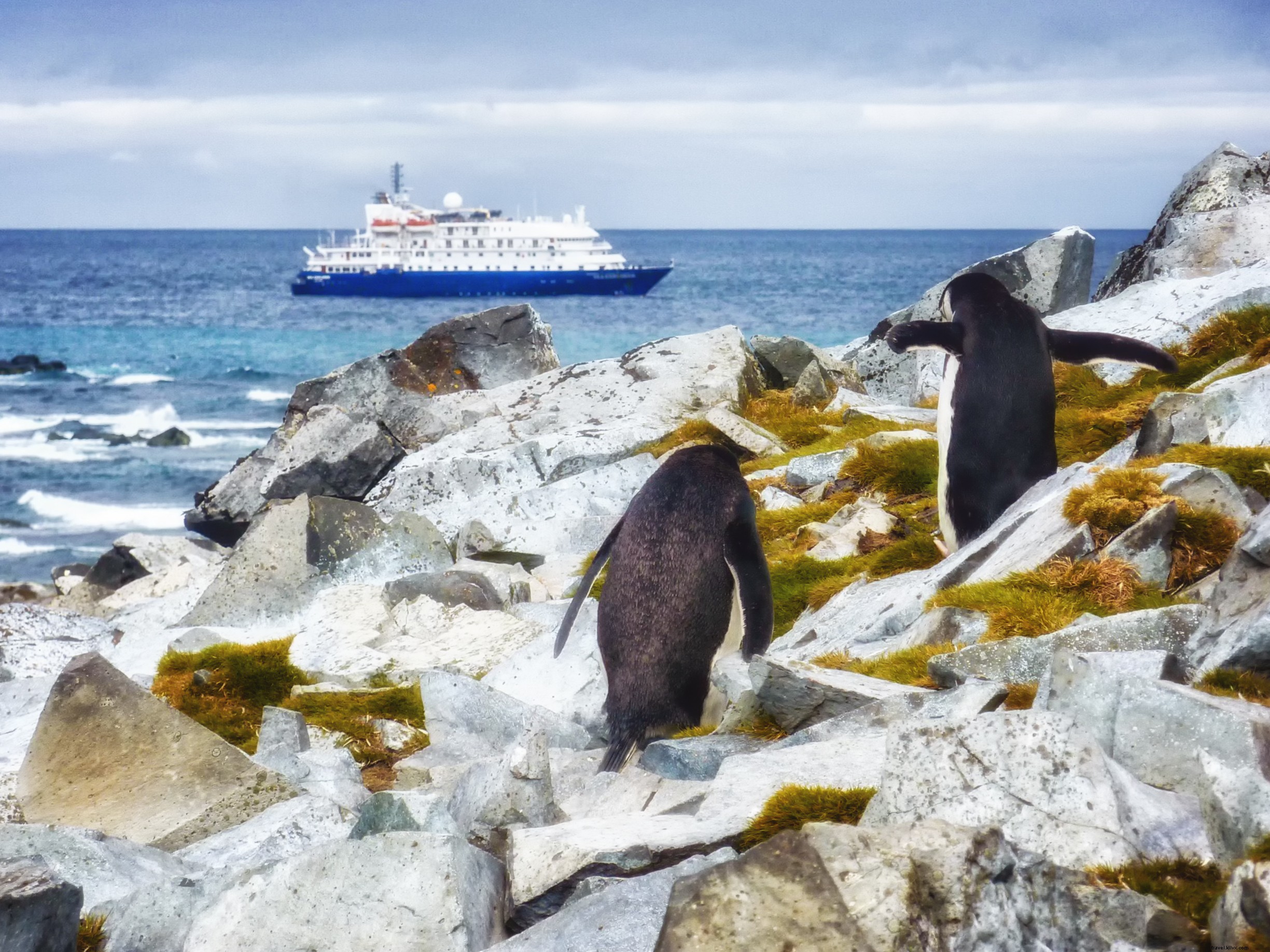 5 Top Cruise Deals for Plan Your Vacation Day: From Antarctica to the Caribbean