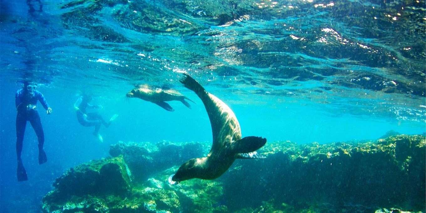 5 Epic Bucket-List Adventures for National Plan for Vacation Day – Save Up to $1,000