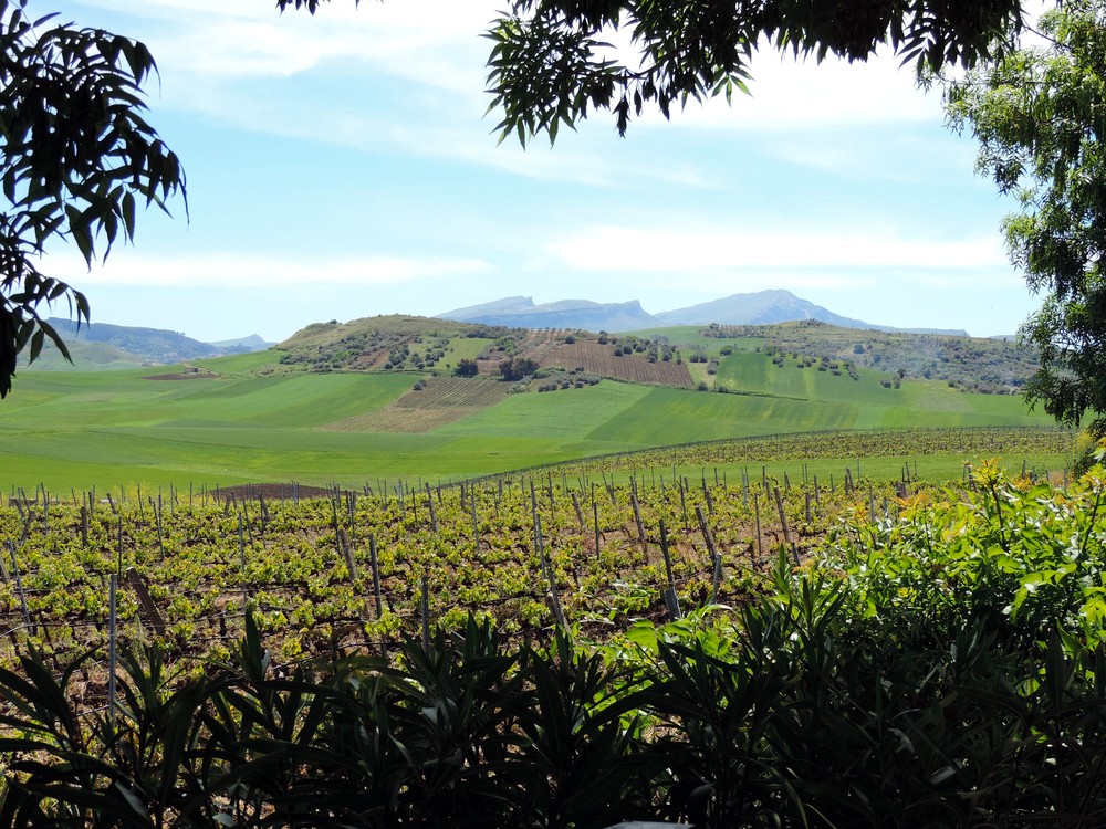 10 Timeless Reasons to Visit Sicily