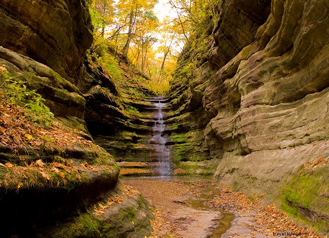 Ultimate Guide to an Epic All-Illinois Road Trip: Hidden Gems and Scenic Routes