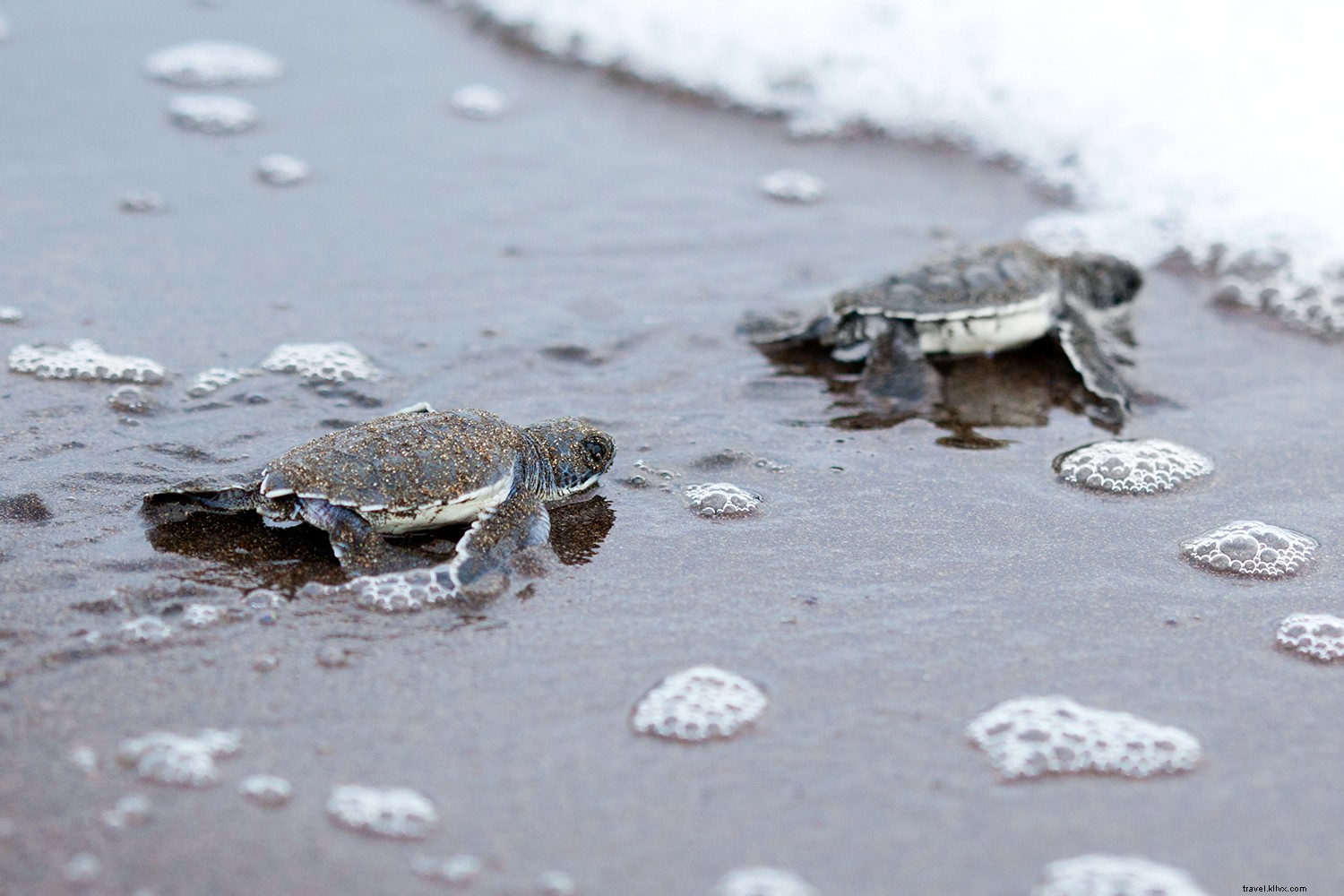 13 Must-Visit Gems in Costa Rica: Beyond Arenal and Manuel Antonio