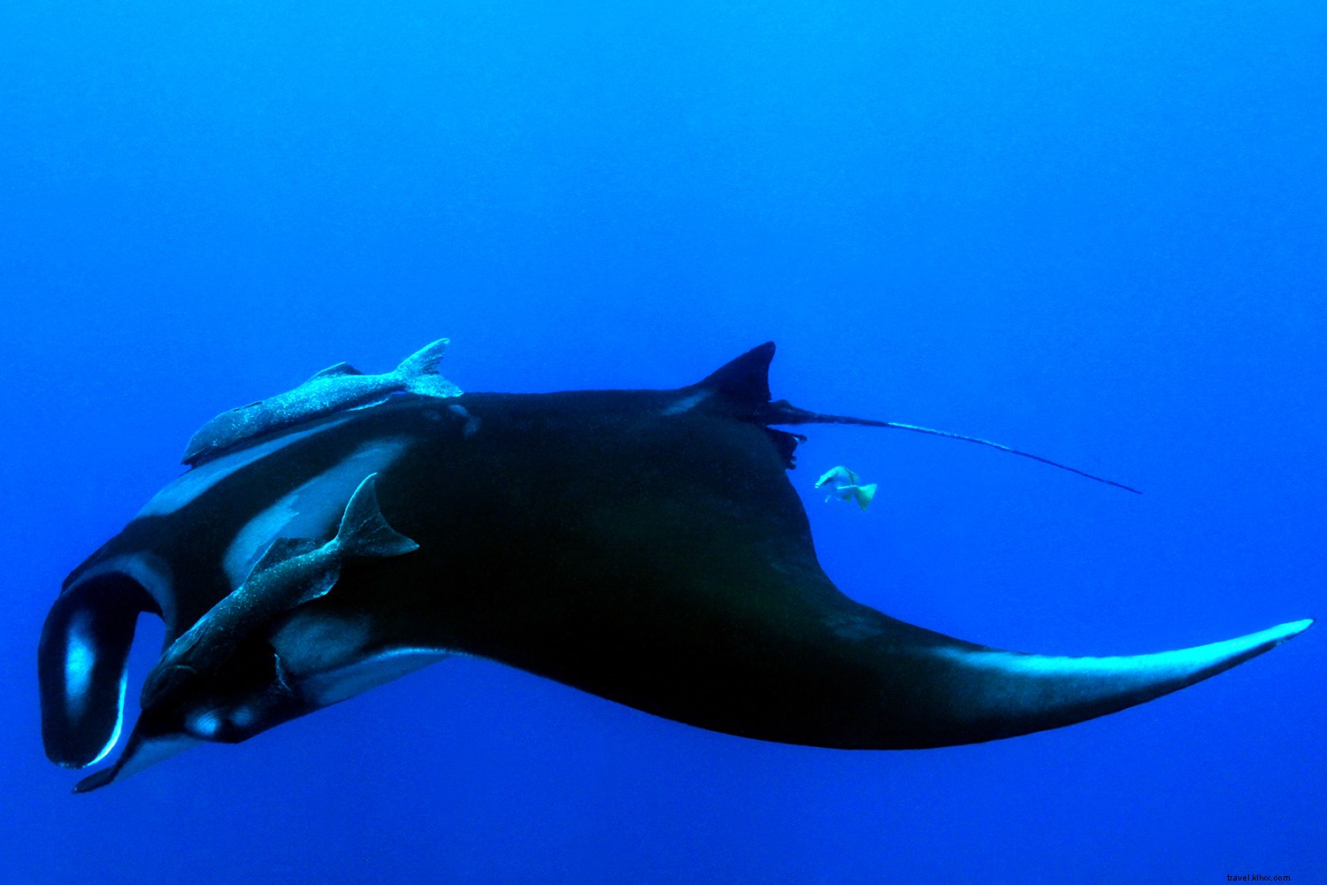 13 Must-Visit Gems in Costa Rica: Beyond Arenal and Manuel Antonio