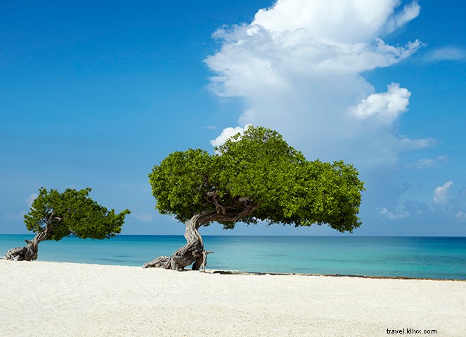 11 Compelling Reasons Travelers Return to Aruba Again and Again