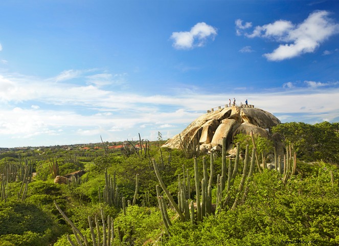 11 Compelling Reasons Travelers Return to Aruba Again and Again