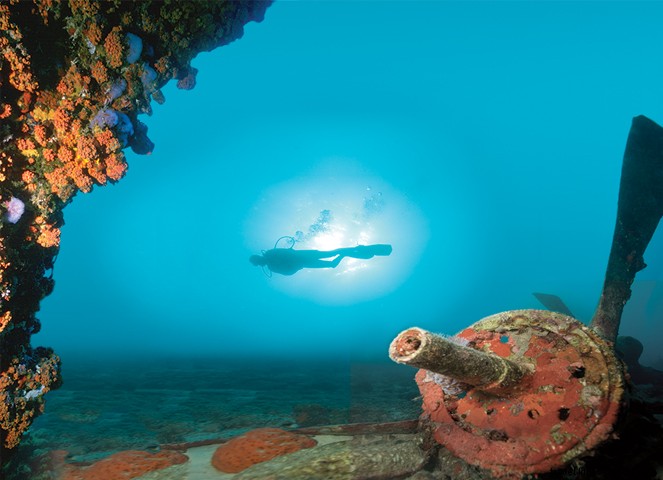 11 Compelling Reasons Travelers Return to Aruba Again and Again