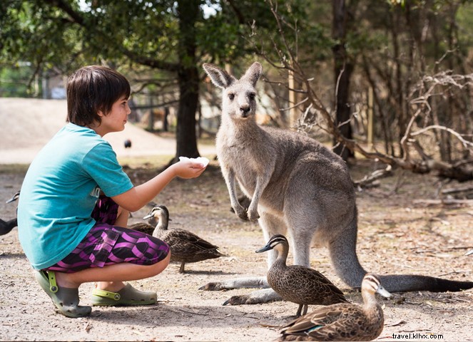 14 Must-See Reasons to Visit Melbourne, the World s Most Livable City