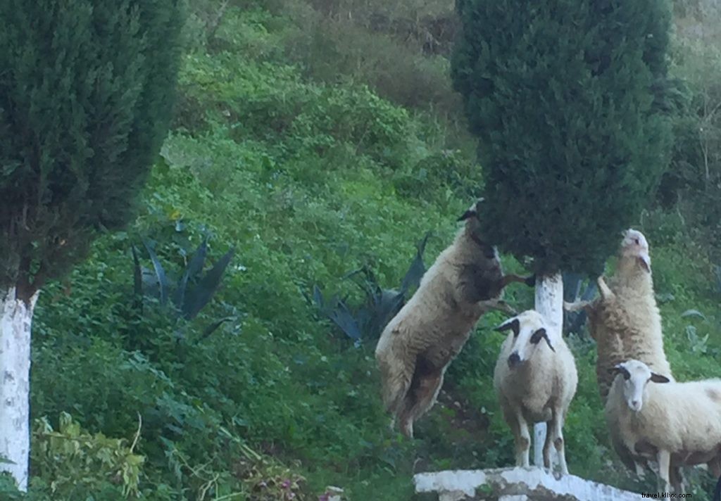 75 Compelling Reasons to Visit Albania: Why It s Europe s Hidden Gem