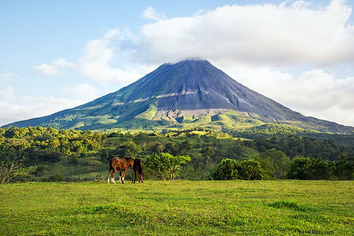 14 Compelling Reasons to Choose Costa Rica Over Theme Parks for Your Family Vacation