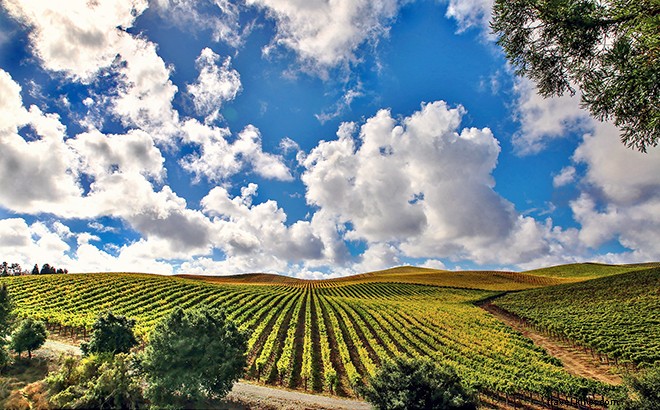 7 Reasons Santa Rosa is Wine Country s Best-Kept Secret