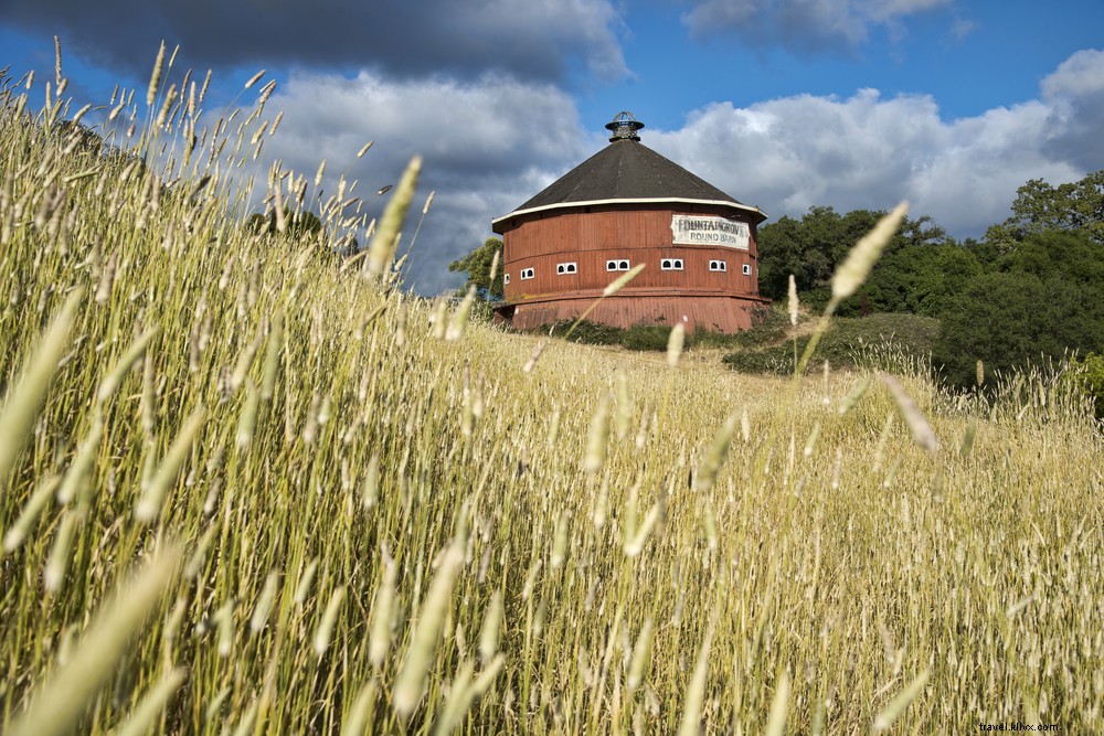 7 Reasons Santa Rosa is Wine Country s Best-Kept Secret