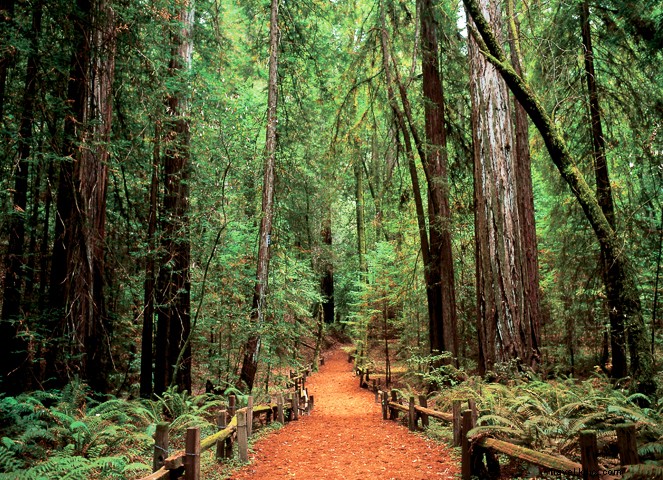 7 Reasons Santa Rosa is Wine Country s Best-Kept Secret