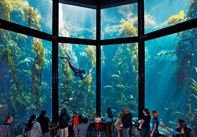 12 Unmissable Experiences in Monterey County: California s Premier Coastal Destination