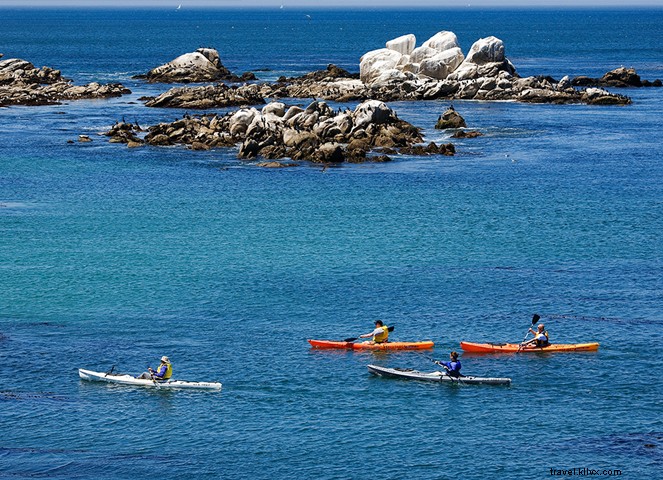 12 Unmissable Experiences in Monterey County: California s Premier Coastal Destination