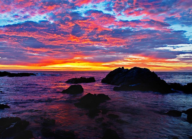 12 Unmissable Experiences in Monterey County: California s Premier Coastal Destination