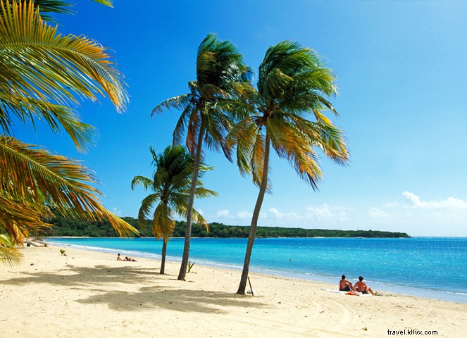 13 Compelling Reasons to Make Puerto Rico Your Next Island Paradise